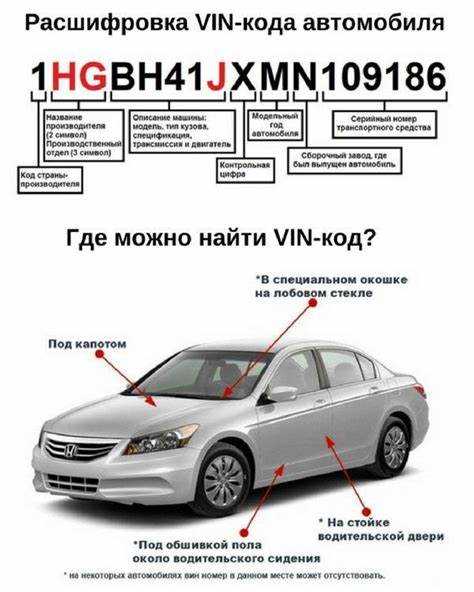 Основы