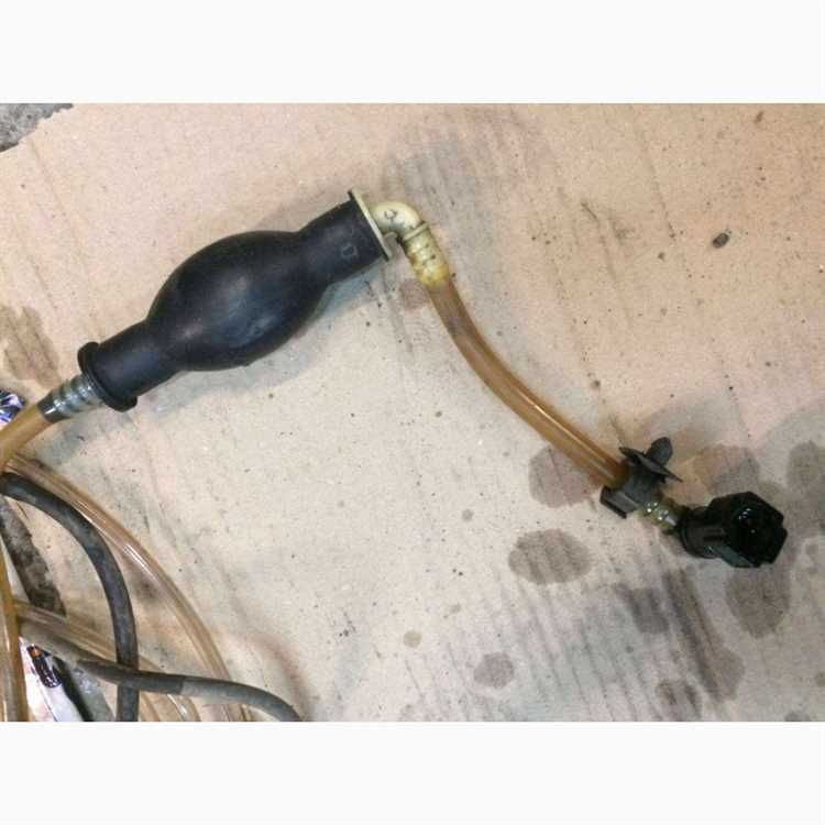 Профилактика